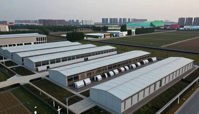 商铺装修选型中的专业报告：如何精准把控核心要素
